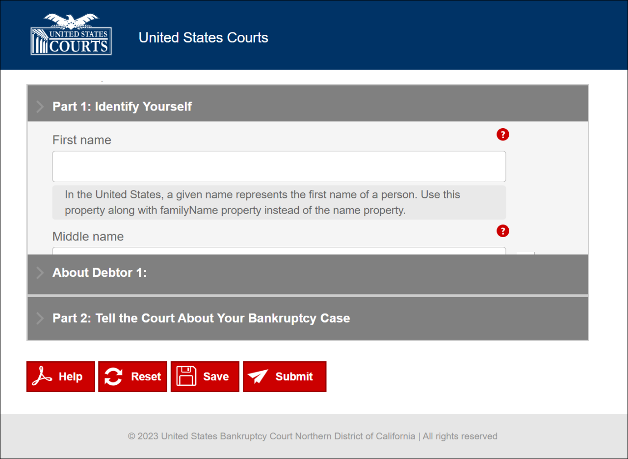 Screenshot showing an adaptive form generated by the Adobe Automated Forms Conversion service.